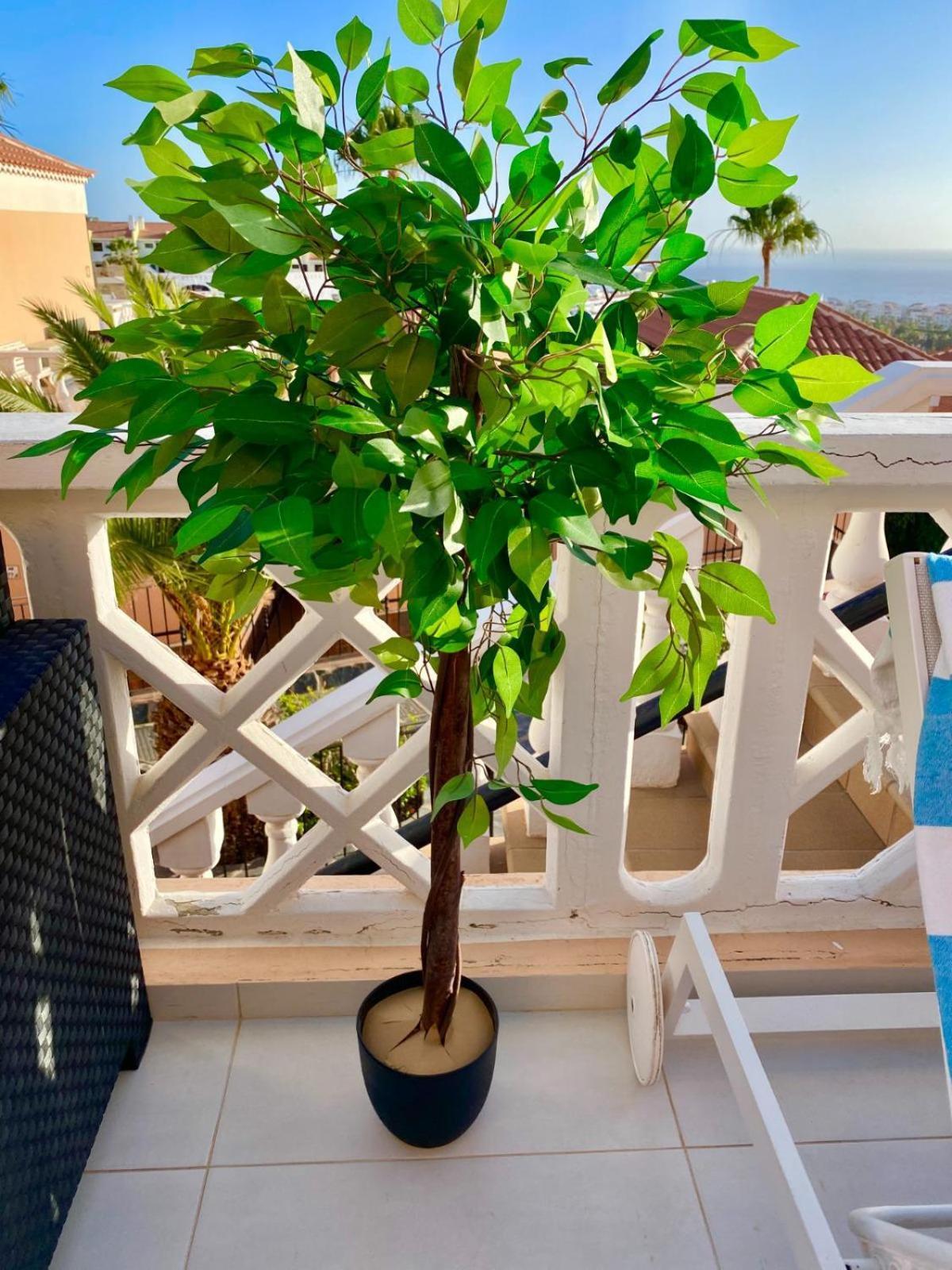 Passione Beautiful Apartment With Sea View Costa Adeje  Kültér fotó